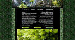 Desktop Screenshot of bryophyta.pflanzenliebe.de